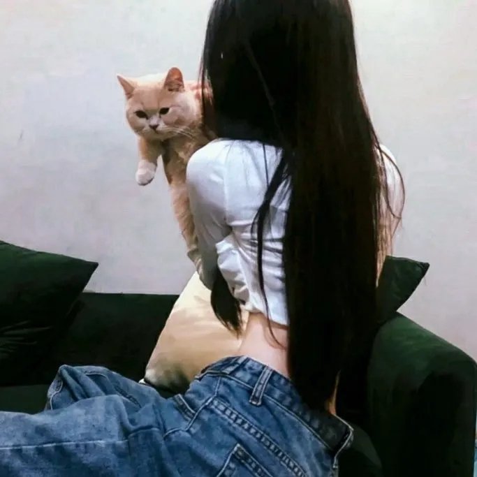 献鱼